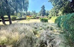 Kelkheim (Taunus), Hessen 65779