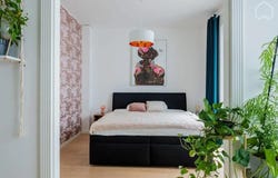 Anklamer Straße, Berlin, Berlin 10115