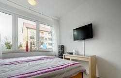 Schleißheimer Straße, 257, München, Bayern 80809
