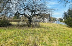 Buttenheim, Bavaria 96155