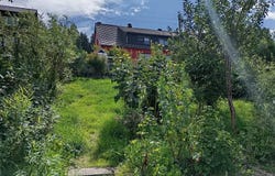 Neuhaus am Rennweg, Thuringia 98724