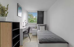 Paracelsusstraße, Munich, Bavaria 80939