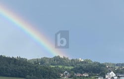 Grünkraut, Baden-Württemberg 88287