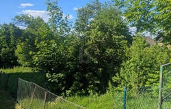 Much, North Rhine-Westphalia 53804