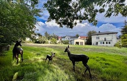 Augustusweg, 22, Radebeul, Sachsen 01445