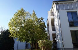 Hohe Straße, 25, Eisenach, Thüringen 99817