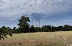 Waghäusel, Baden-Württemberg 68753