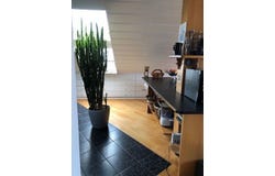 Löwenburgstraße, 10, Bad Honnef, Nordrhein-Westfalen 53604