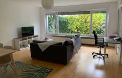 Mömpelgardweg, 20, Friedrichshafen, Baden-Württemberg 88048
