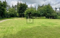 Leck, Schleswig-Holstein 25917