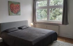 Brassertstraße, 15, Essen, Nordrhein-Westfalen 45130