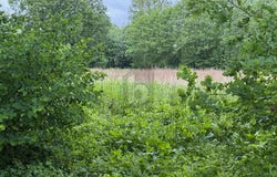 Lutzhorn, Schleswig-Holstein 25355