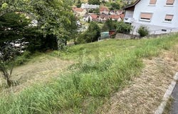 Weisenbach, Baden-Württemberg 76599
