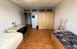Allee, 40, Heilbronn, Baden-Württemberg 74072