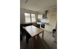Brundelstraße, 20, Bochum, Nordrhein-Westfalen 44892