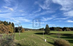 Maierhöfen, Bavaria 88167