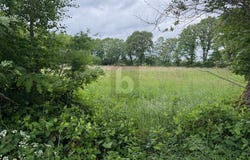 Lutzhorn, Schleswig-Holstein 25355