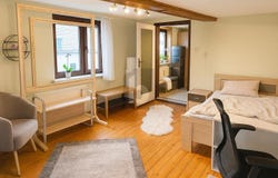 Schleusingen, Thuringia 98553
