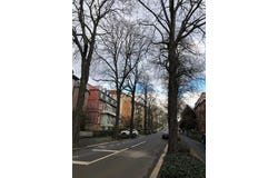 Querallee, 49, Kassel, Hessen 34119