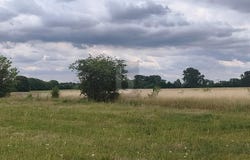 Dreiheide, Saxony 4860