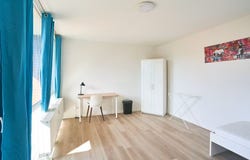 Kölner Landstraße, Düsseldorf, North Rhine-Westphalia 40591