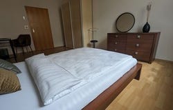 Lindenstraße, 75, Pforzheim, Baden-Württemberg 75175