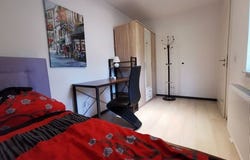 Ebereschenweg, 13, Köln, Nordrhein-Westfalen 51147