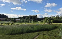 Allensbach, Baden-Württemberg 78476