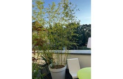 Lorettostraße, 51, Freiburg im Breisgau, Baden-Württemberg 79100