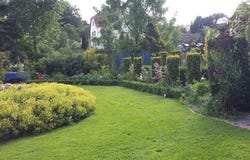 Steinkaute, 25, Wildeck, Hessen 36208
