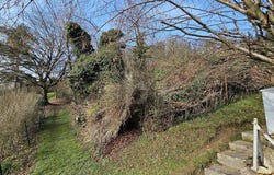 Lörrach, Baden-Württemberg 79541