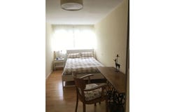 Am Mühlkanal, 26, Frankfurt am Main, Hessen 60599