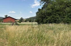 Haigerloch, Baden-Württemberg 72401