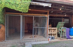 Lauf, Baden-Württemberg 77886