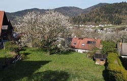 Bühlertal, Baden-Württemberg 77830