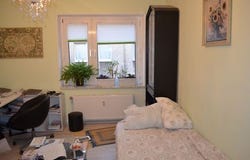 Hennigfeldstraße, 9, Bochum, Nordrhein-Westfalen 44795