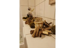 Thomaskirchhof, 8, Leipzig, Sachsen 04109