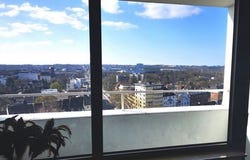 Alfredstraße, 41, Essen, Nordrhein-Westfalen 45130