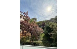 Nietzschestraße, Munich, Bavaria 80807