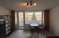 Landsberger Straße, Munich, Bavaria 81241