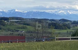 Grünkraut, Baden-Württemberg 88287