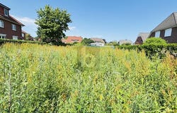 Elmshorn, Schleswig-Holstein 25337
