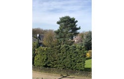 Eibenkamp, 25, Mülheim an der Ruhr, Nordrhein-Westfalen 45481