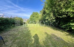 Dormagen, North Rhine-Westphalia 41539