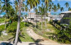 El Cosón, Samaná, Samaná Province 32000