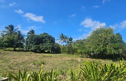 Residencial Cocotal, Punta Cana, La Altagracia Province 23000
