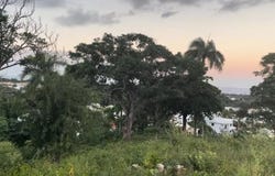 Puerto Plata, Puerto Plata, Puerto Plata Province 57000