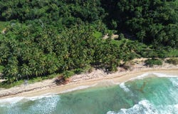El Cosón, Samaná, Samaná Province 32000