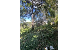 38J8+4RM, Jarabacoa 41000, Dominican Republic, Jarabacoa, La Vega Province 41000