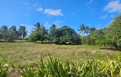 Residencial Cocotal, Punta Cana, La Altagracia Province 23000